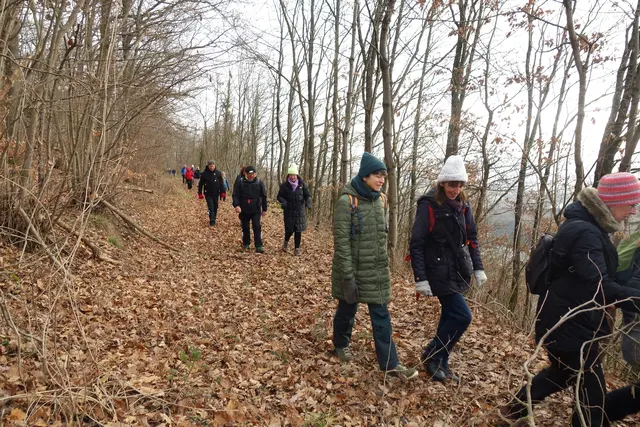 Auf dem laubbedeckten Heerweg mit Sicht Richtung Ludwigsburg und dem Remstal. | Foto: Isolde Reitz