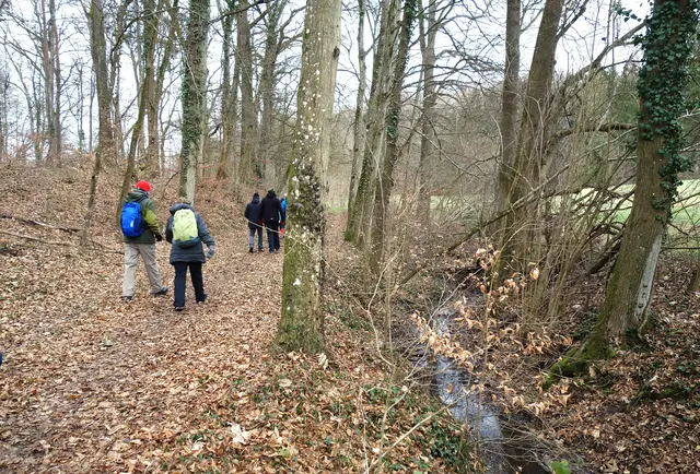 Entlang des Rohnsbaches. | Foto: Isolde Reitz