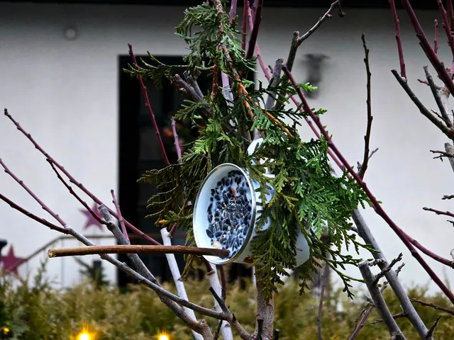 Foto: Heidrun Rosenberger