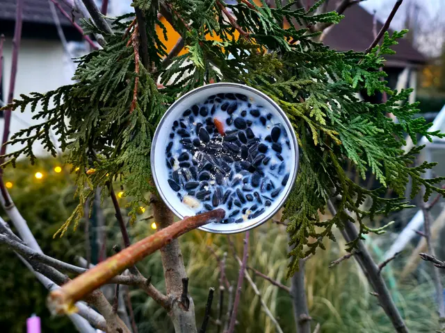 Foto: Heidrun Rosenberger