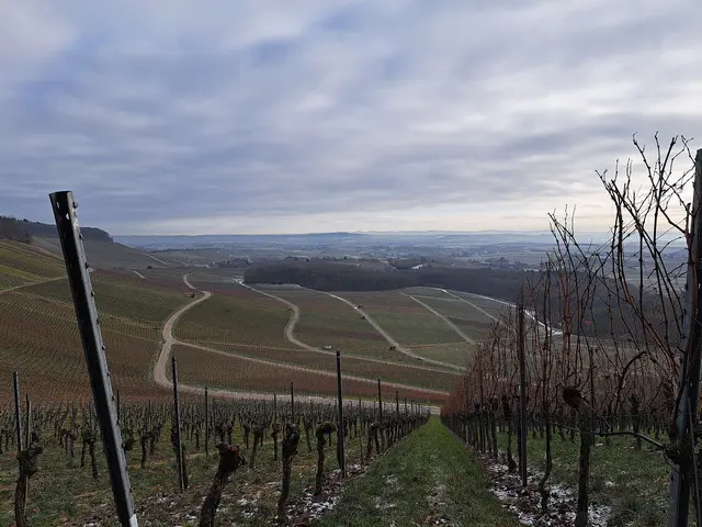Die Sicht zu den Waldenburger - und Löwensteiner Berge war etwas diesig. | Foto: Isolde Reitz
