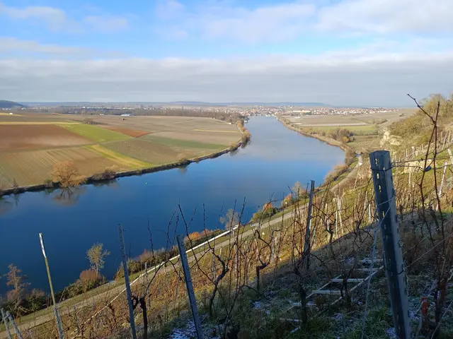 das Neckartal mit Blick auf Lauffen | Foto: E. Rosendorf
