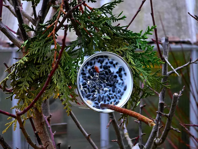 Foto: Heidrun Rosenberger