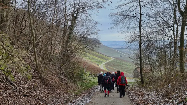 Blick auf das Heilbronner Land wird frei. | Foto: Isolde Reitz