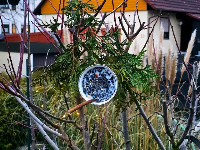 Foto: Heidrun Rosenberger