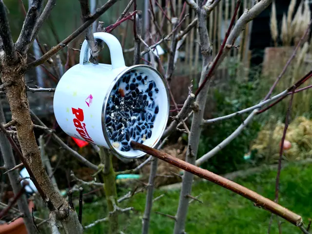 So sieht es schon recht trist aus. | Foto: Heidrun Rosenberger