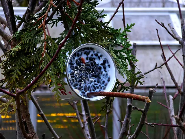 Foto: Heidrun Rosenberger