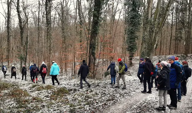Durch den Lochwald abwärts zur Eselsteige. | Foto: Isolde Reitz