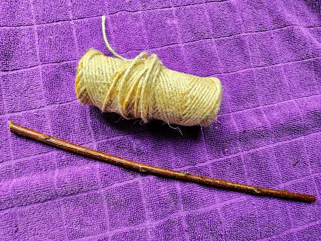 Foto: Heidrun Rosenberger