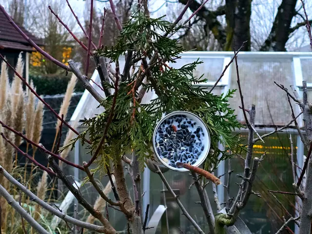 Foto: Heidrun Rosenberger