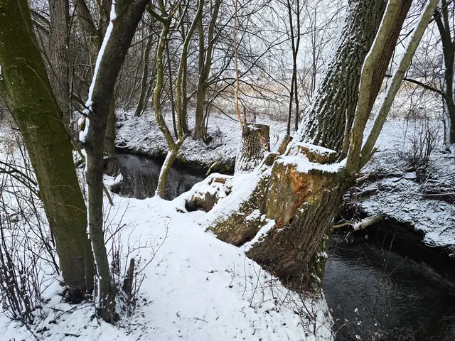 Foto: Heidrun Rosenberger