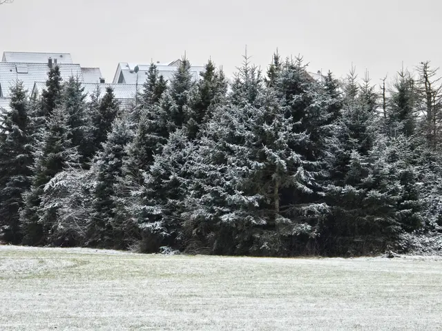 Foto: Heidrun Rosenberger