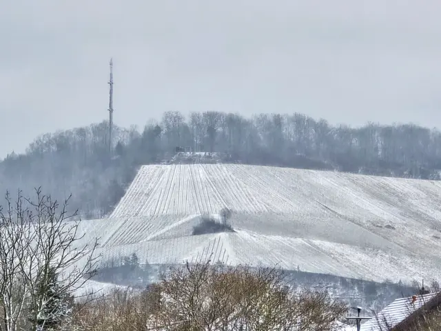 Foto: Heidrun Rosenberger