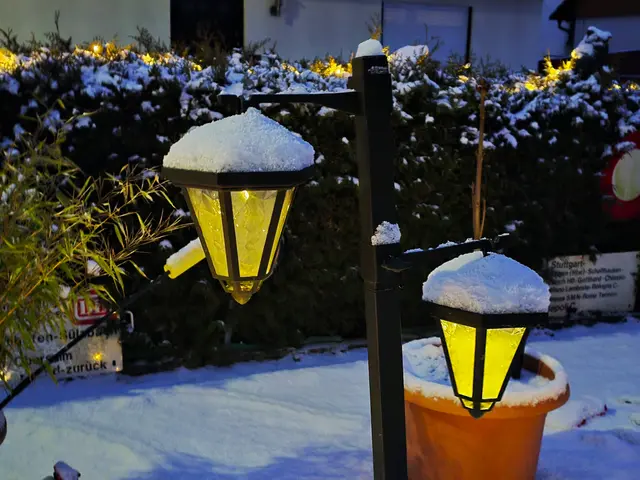 Foto: Heidrun Rosenberger