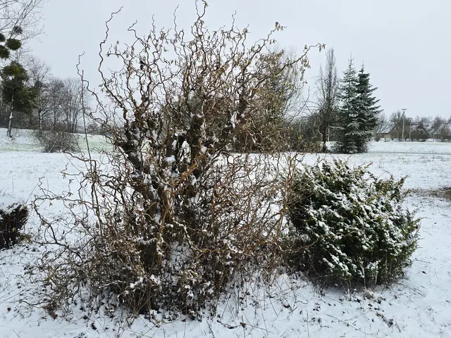 Foto: Heidrun Rosenberger