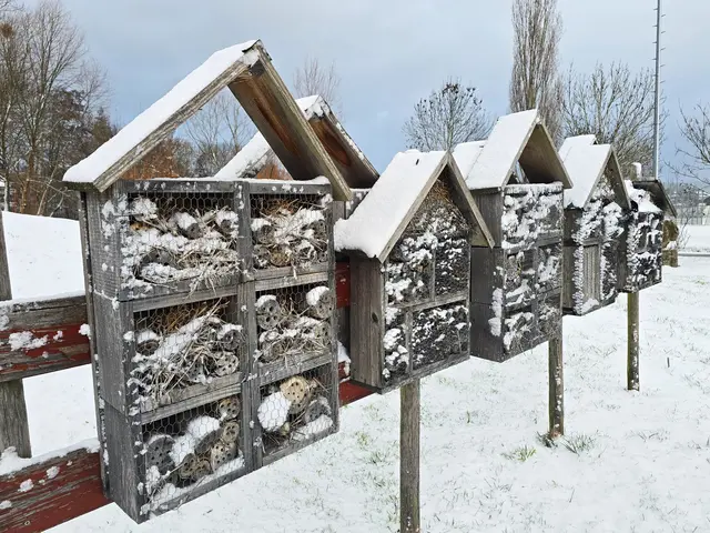 Foto: Heidrun Rosenberger