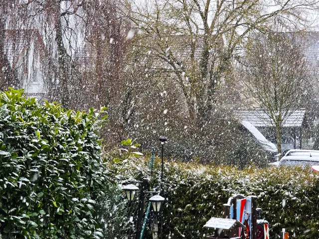 Foto: Heidrun Rosenberger