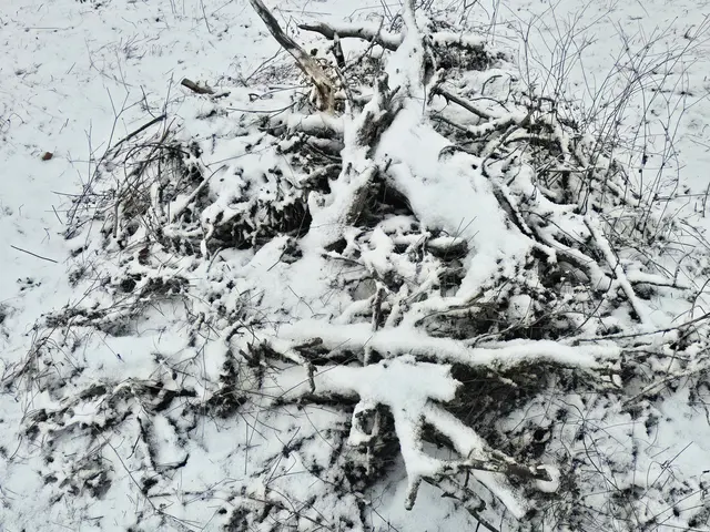 Foto: Heidrun Rosenberger