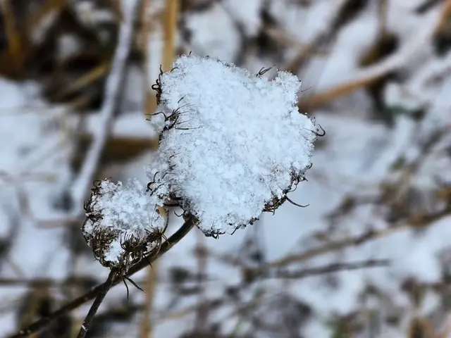 Foto: Heidrun Rosenberger
