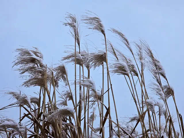 Foto: Heidrun Rosenberger