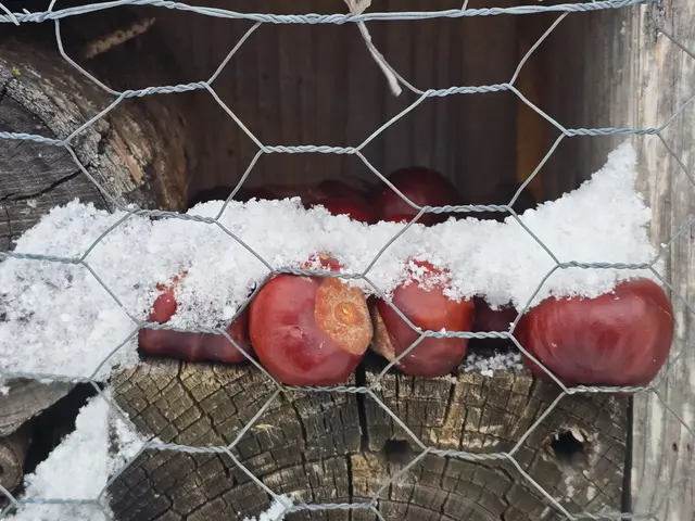 Foto: Heidrun Rosenberger