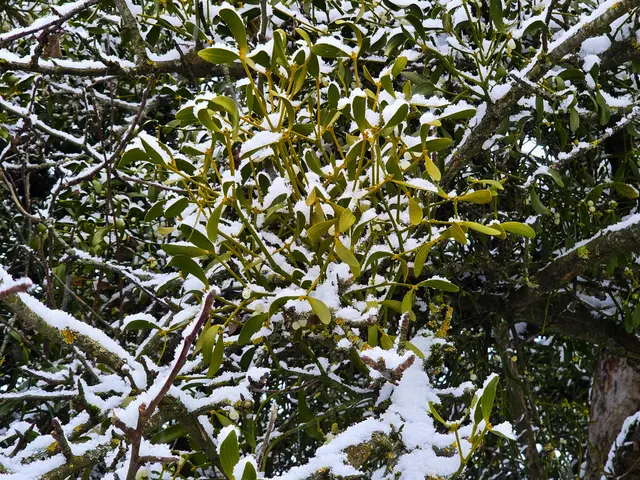 Foto: Heidrun Rosenberger