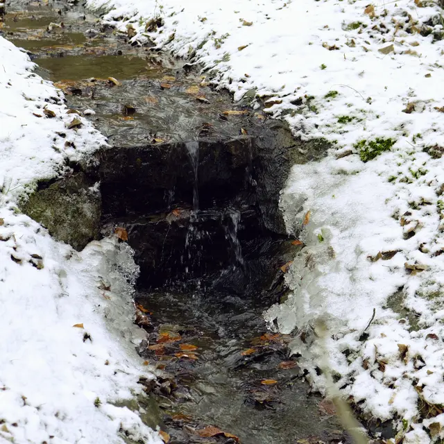 Foto: Eduard Warenik