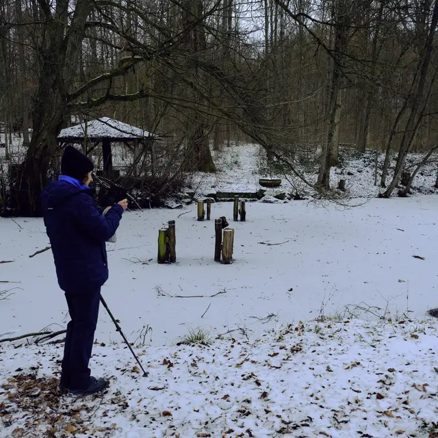 Waldsee  | Foto: Eduard Warenik