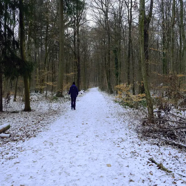 Foto: Eduard Warenik