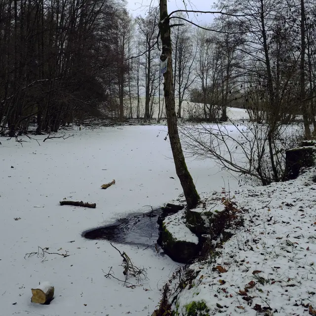 Foto: Eduard Warenik