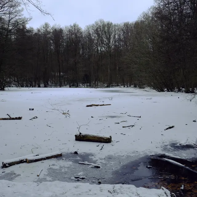 Foto: Eduard Warenik