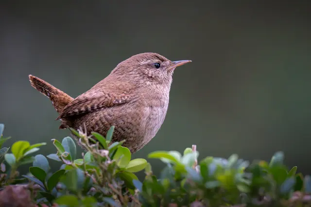 Foto: Elke Köbernick