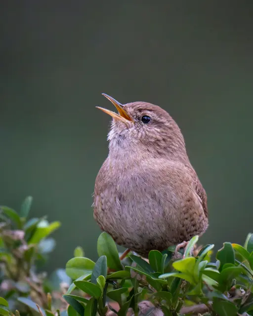 Foto: Elke Köbernick