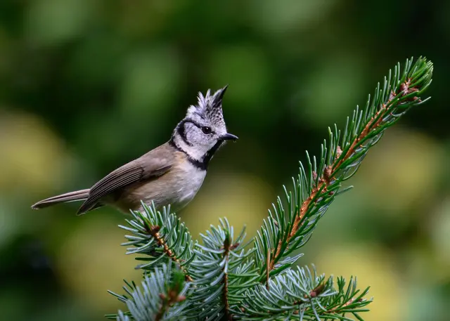 Foto: Elke Köbernick