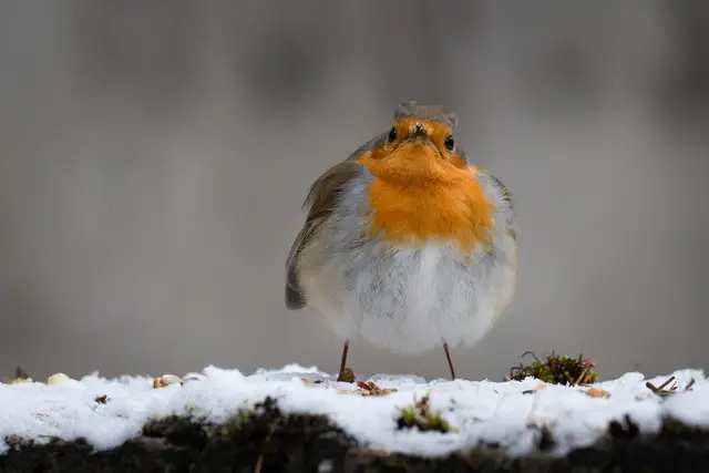 Foto: Elke Köbernick