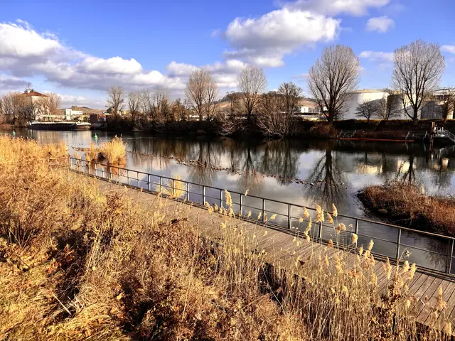 Foto: Heide Böllinger aus Bad Friedrichshall