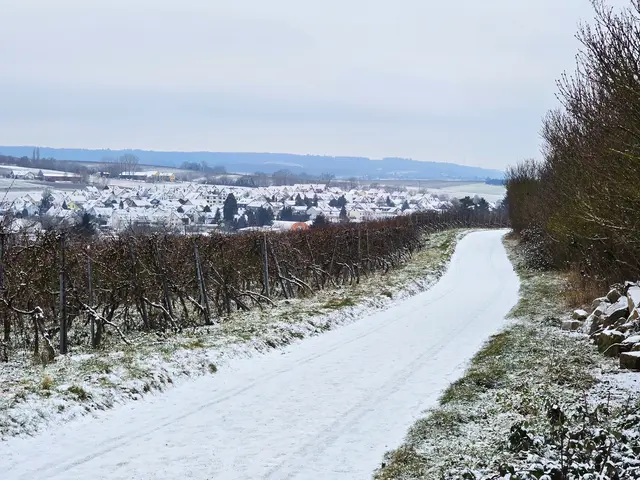 Foto: Heidrun Rosenberger