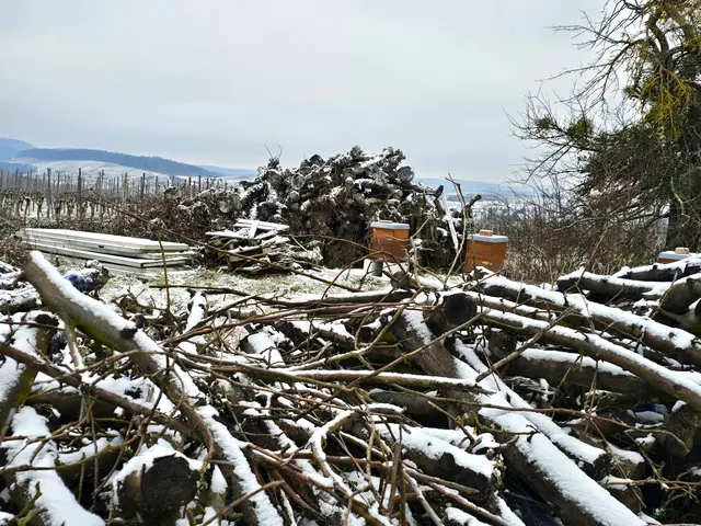 Foto: Heidrun Rosenberger