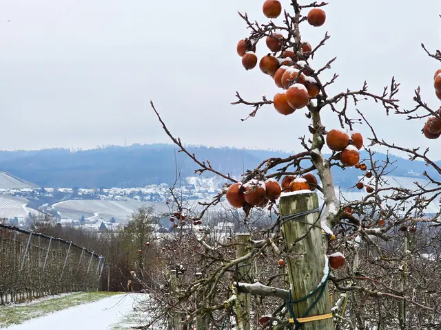 Foto: Heidrun Rosenberger