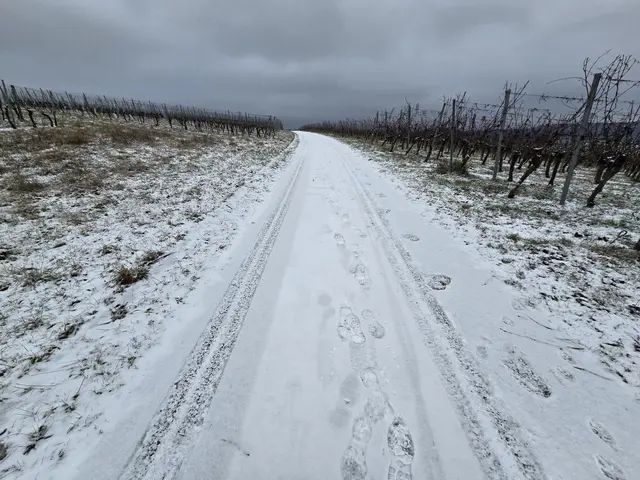 Foto: Heidrun Rosenberger