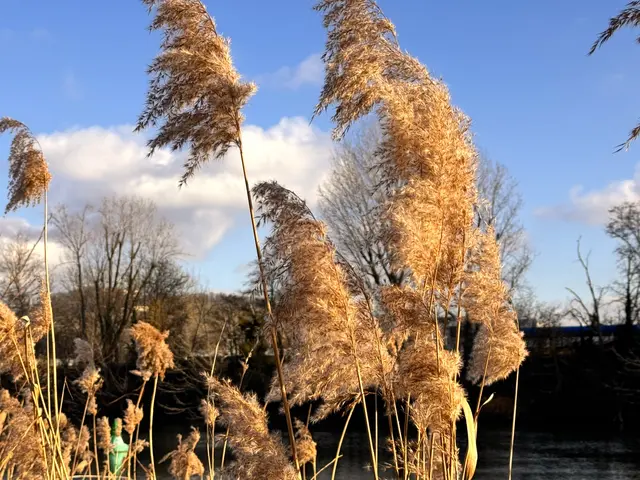 Foto: Heide Böllinger aus Bad Friedrichshall