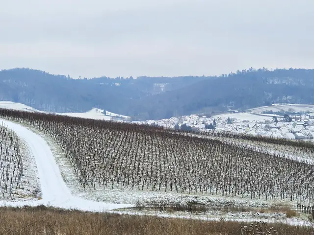 Foto: Heidrun Rosenberger