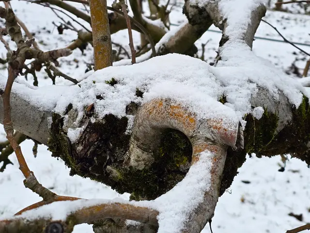 Foto: Heidrun Rosenberger