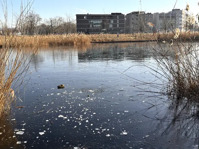 Foto: Heide Böllinger aus Bad Friedrichshall