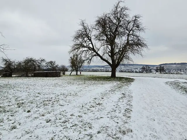Foto: Heidrun Rosenberger