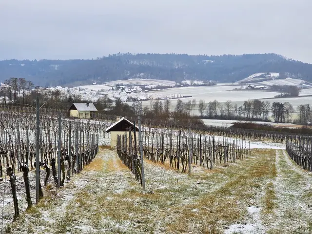 Foto: Heidrun Rosenberger