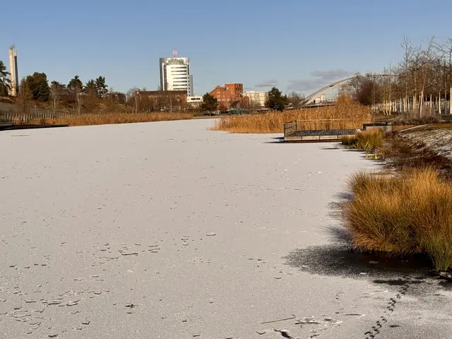 Foto: Heide Böllinger aus Bad Friedrichshall