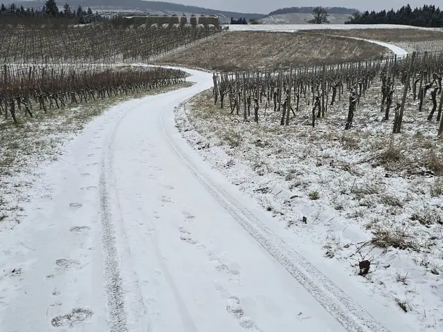 Foto: Heidrun Rosenberger