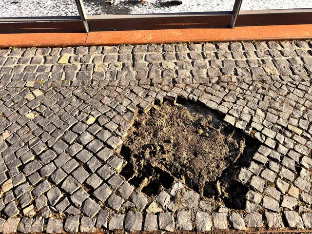 Foto: Heide Böllinger aus Bad Friedrichshall