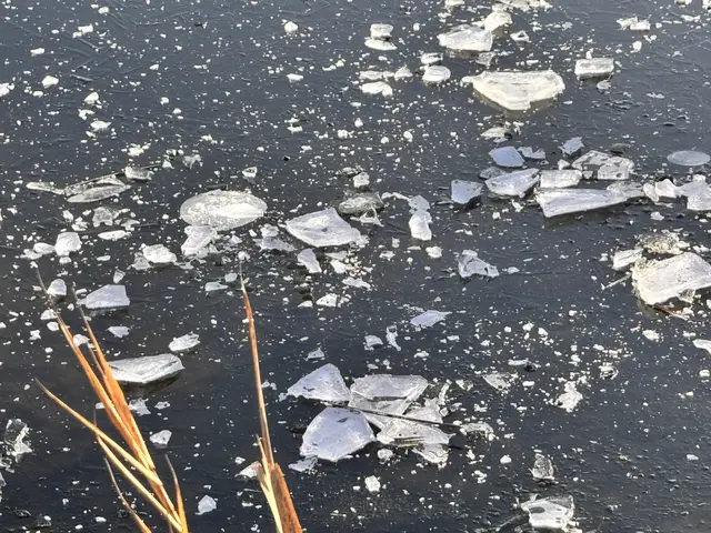 Foto: Heide Böllinger aus Bad Friedrichshall